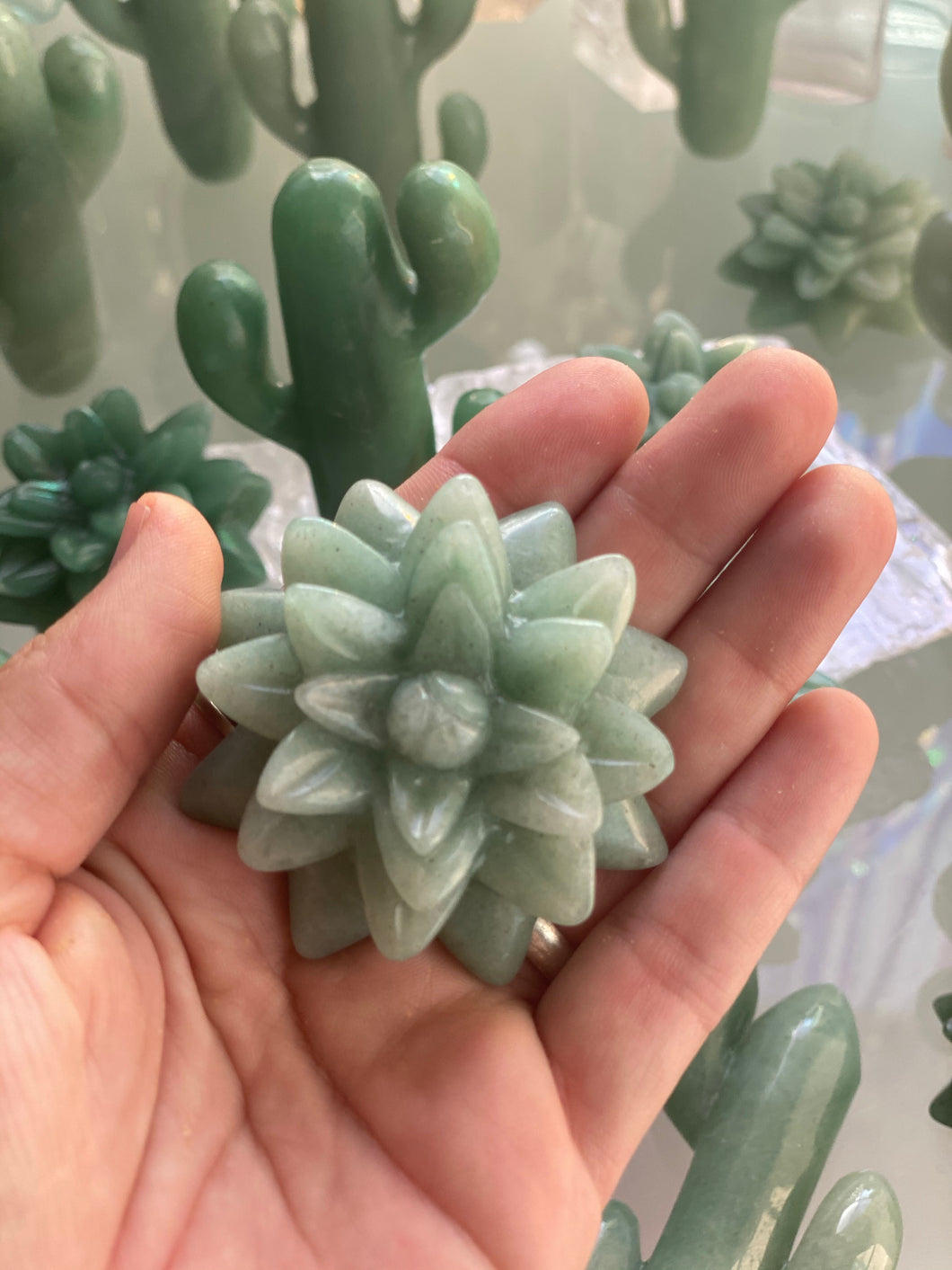 Green aventurine succulent